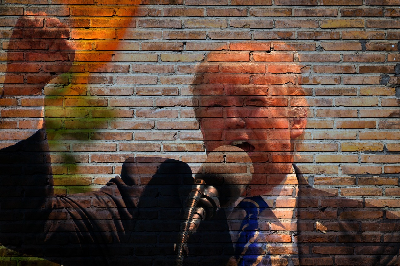 Image of Donald Trump on brick background