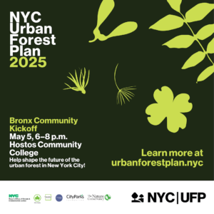 Bronx Urban Forest Plan Community Kick-off
